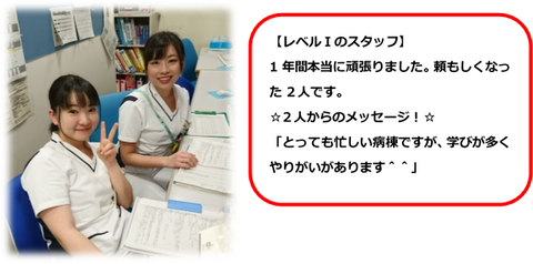 １１B③