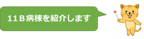 11B①