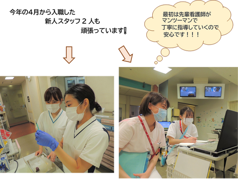８B⑤