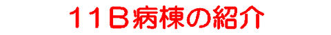１１B