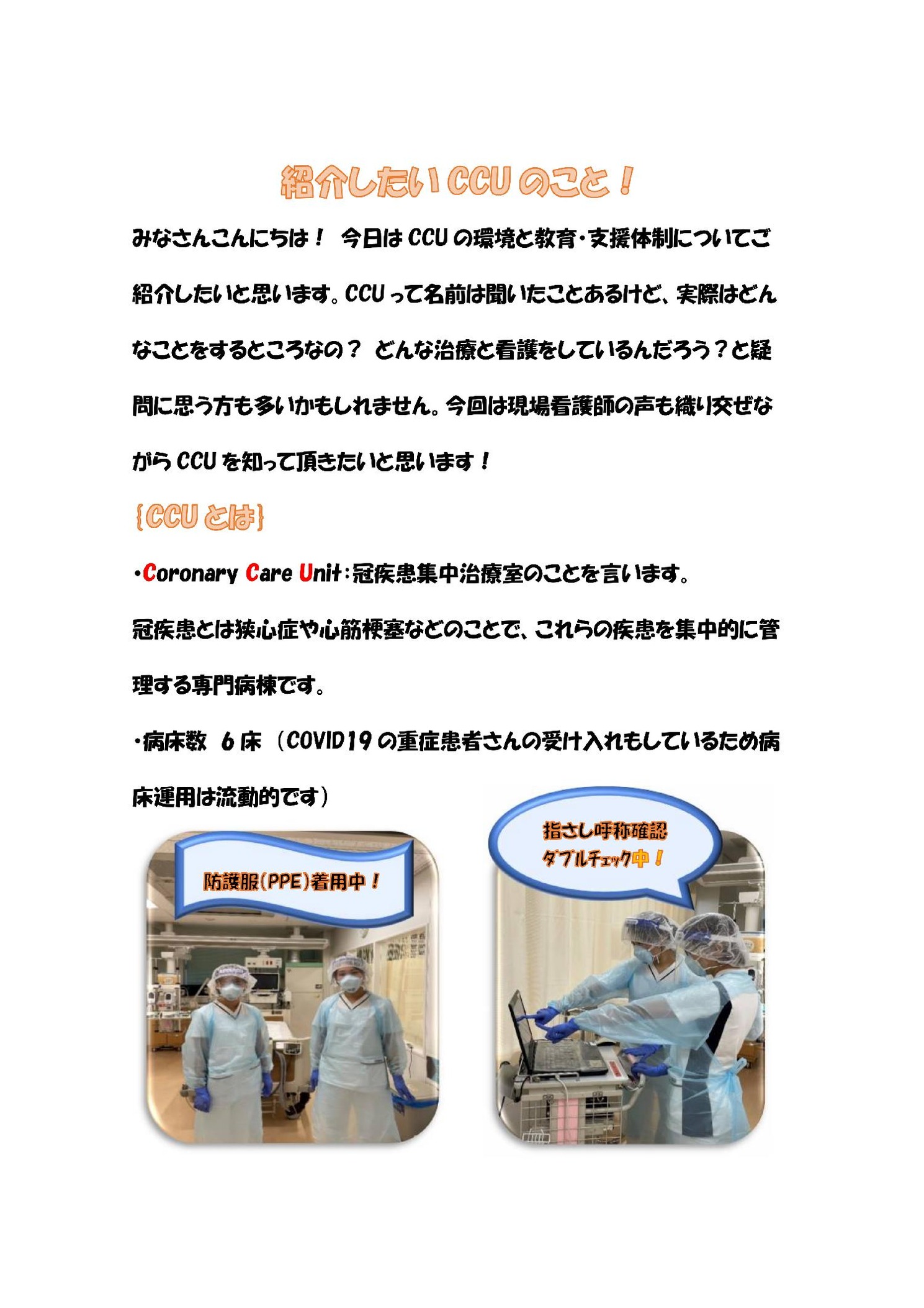 ぼっくんの墨東日記　CCU　OK_00001