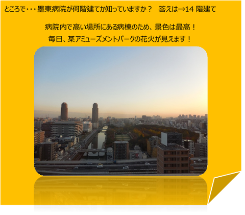13B⑥