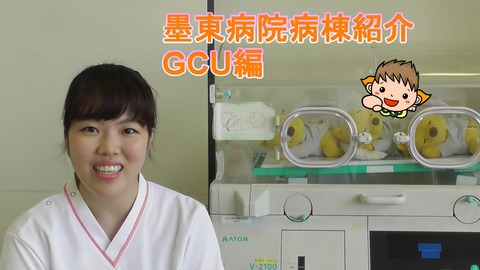 GCUサムネイル画像