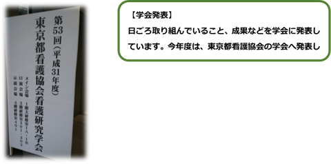 １１B④