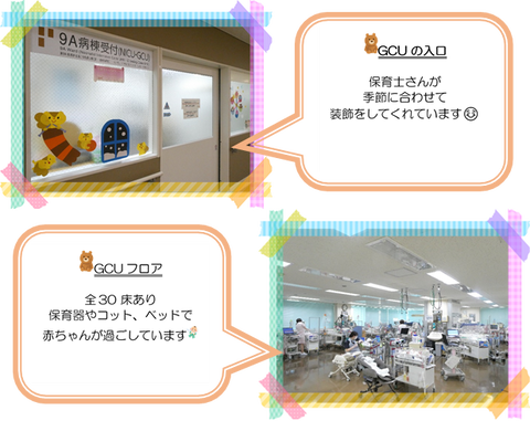 GCU②