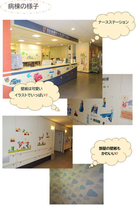 ８B③