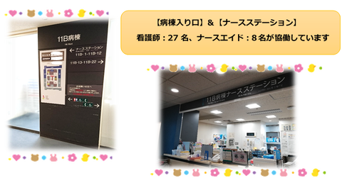 11B②