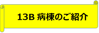 13B①