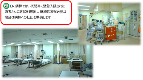 ER④